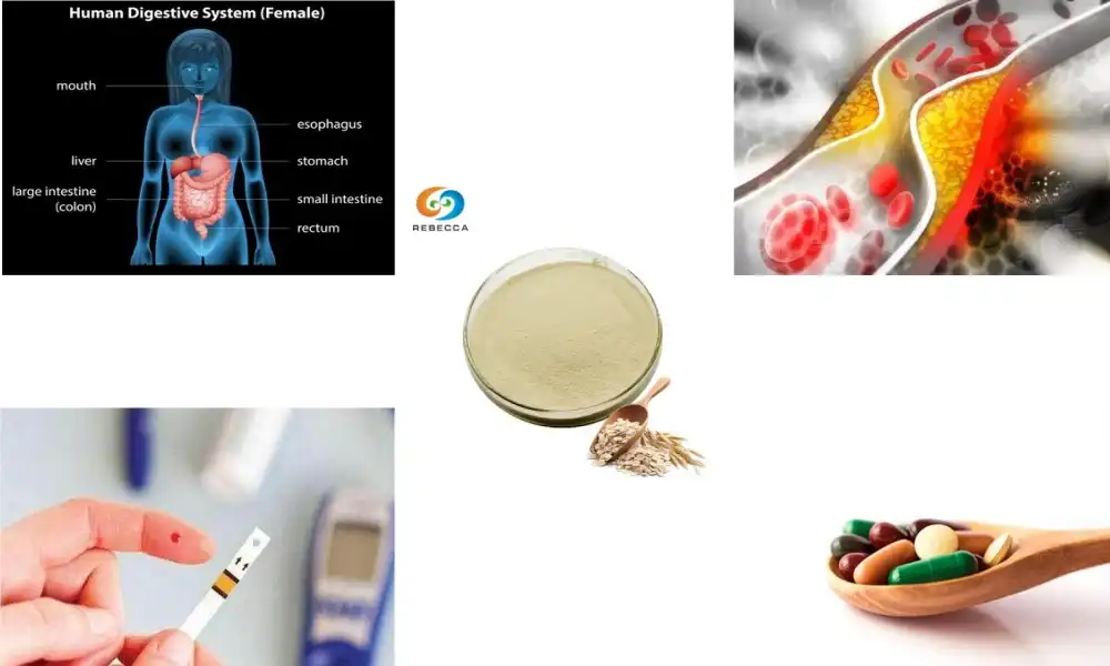 Oat Beta-Glucan vs Barley Beta-Glucan: Key Differences